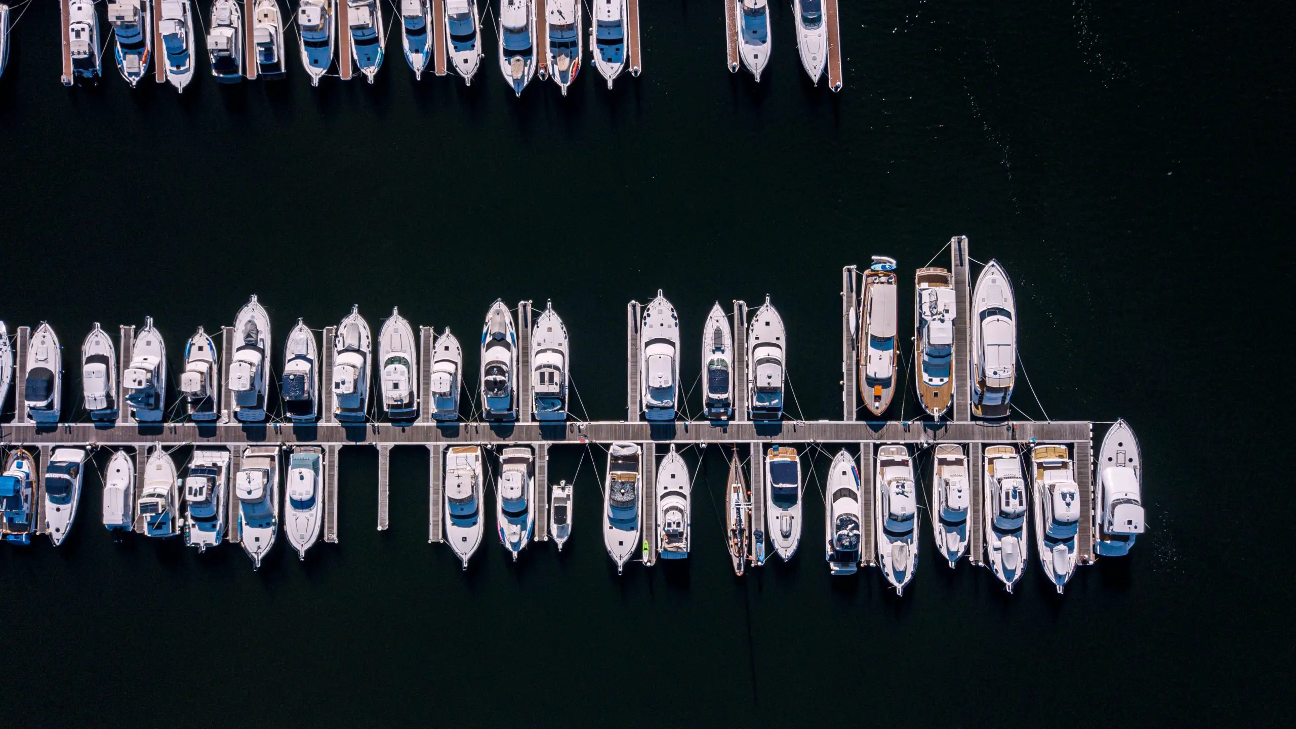 ボートにはどのタイプのビルジポンプを選ぶべきですか？